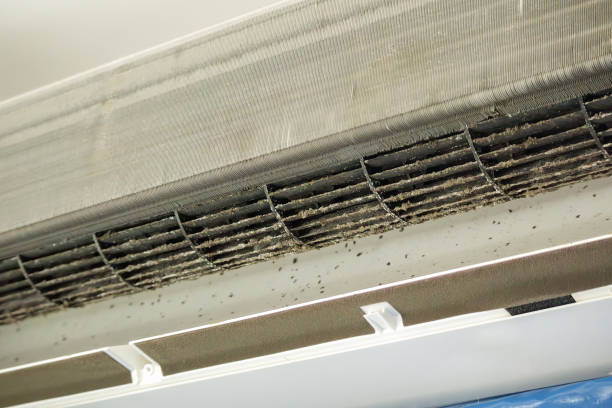 Best HVAC Duct Inspection Services  in Wyoming, MN